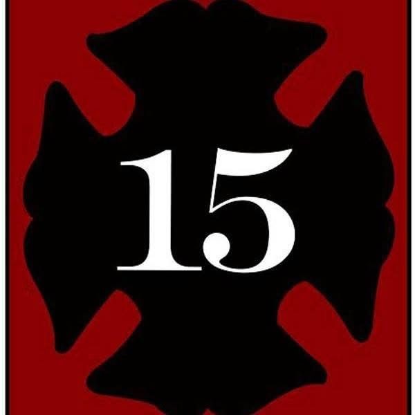 Ladder 15